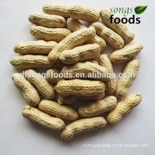 Chinese Wholesale Roasted Peanuts ,Wholesale Peanuts/Best Price
